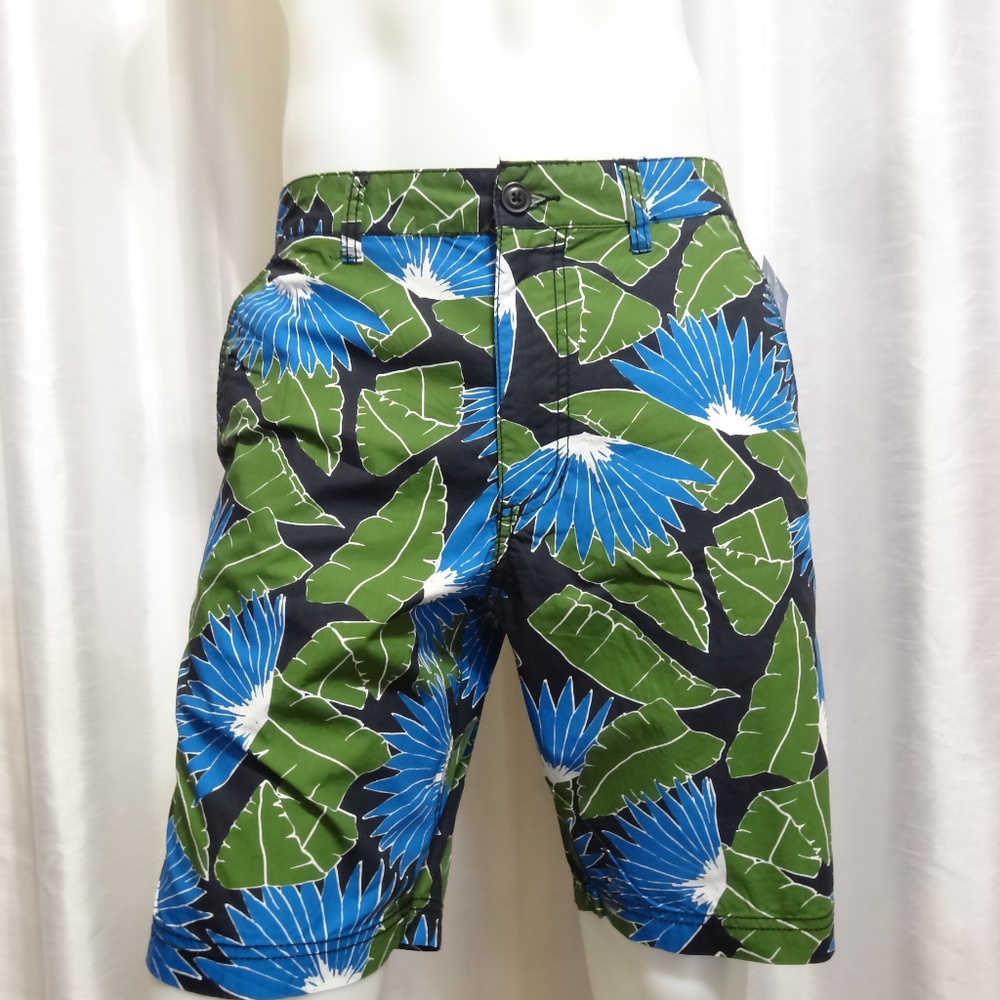 NEW American Rag Cie SLIM shorts